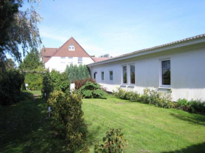Seepferdchen Insel Hiddensee